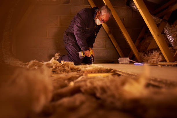 Best Attic Insulation Installation  in Britt, IA